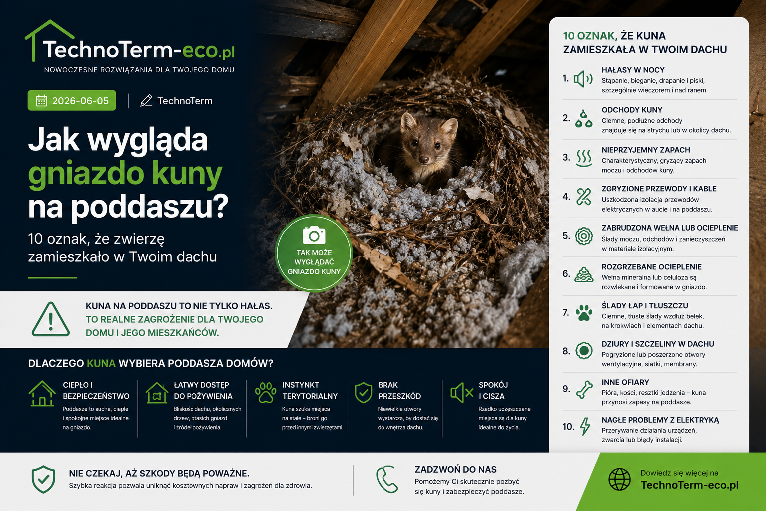 Jak wygląda gniazdo kuny na poddaszu? 10 oznak, że zwierzę zamieszkało w Twoim dachu